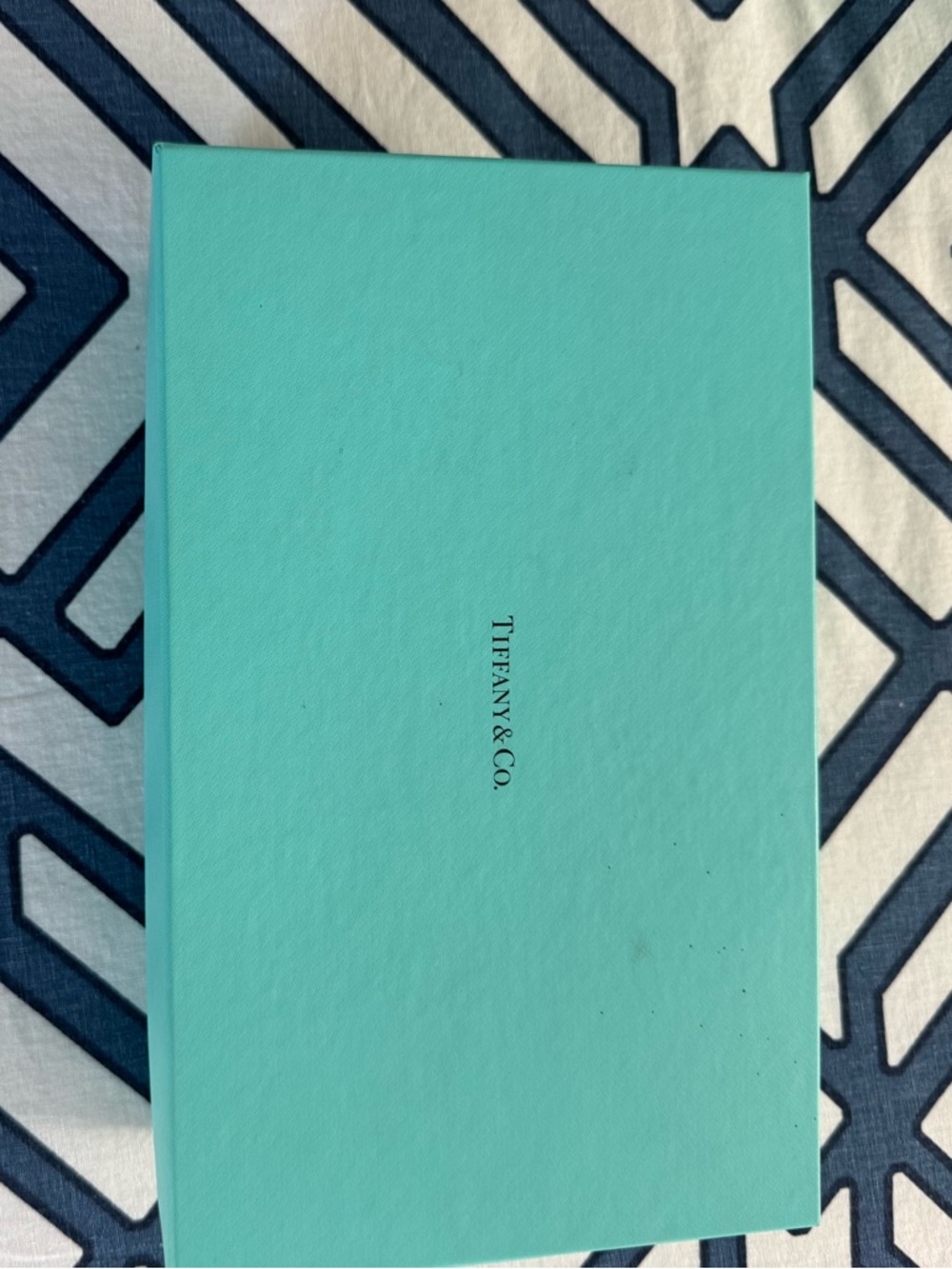 Tiffany & Co. Robin's Egg Blue Presentation Box